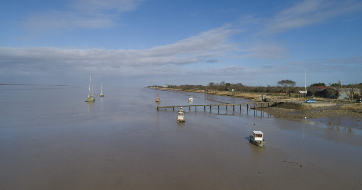 vue de l'estuaire