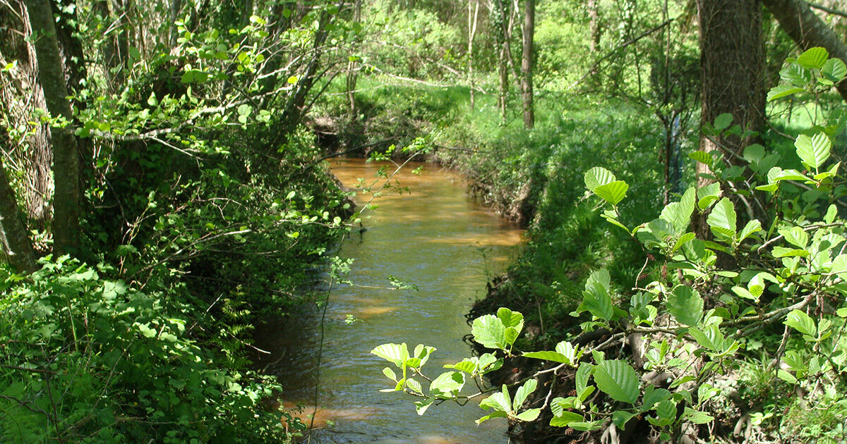 Bassin versant de la Livenne