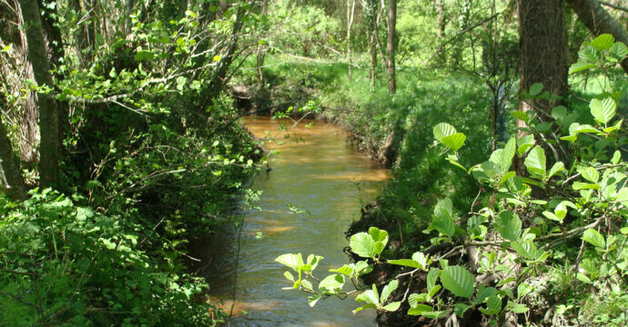 Bassin versant de la Livenne