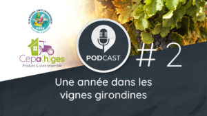 CEPA(h)GES - Episode #2 - Une année dans les vignes