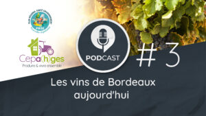 CEPA(h)GES - Episode #3 - Les vins de Bordeaux aujourd’hui