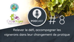 CEPA(h)GES - Episode #8 - Relever le défi : accompagner les viticulteurs dans leur chgt de pratiques