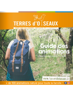 Guide des animations 2023